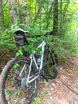 Bike Rental Chippewa National Forest